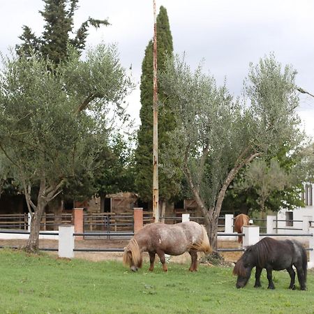Masia Can Rovira - Esc1852 San Lorenzo de Hortóns エクステリア 写真