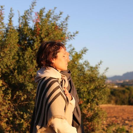 Masia Can Rovira - Esc1852 San Lorenzo de Hortóns エクステリア 写真