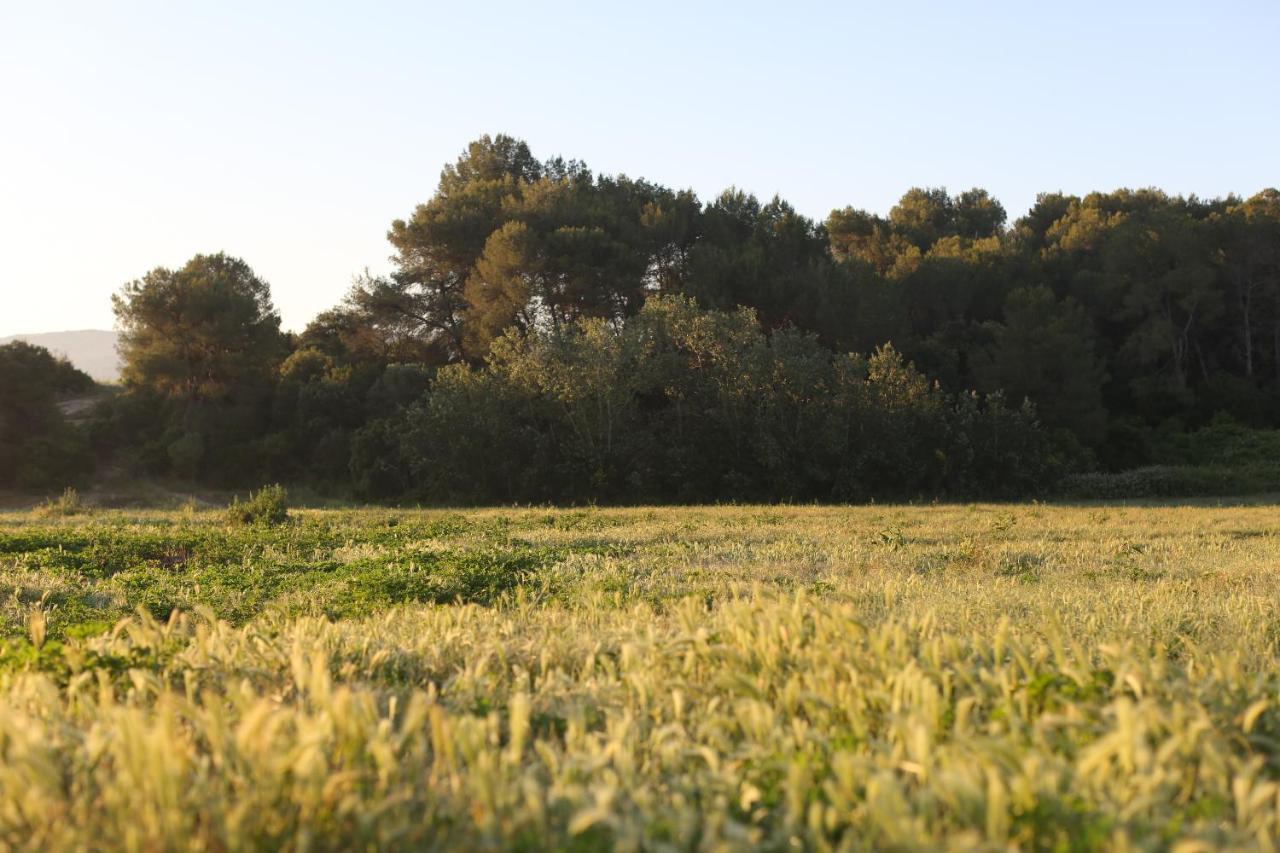 Masia Can Rovira - Esc1852 San Lorenzo de Hortóns エクステリア 写真